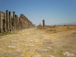 Apamea 1